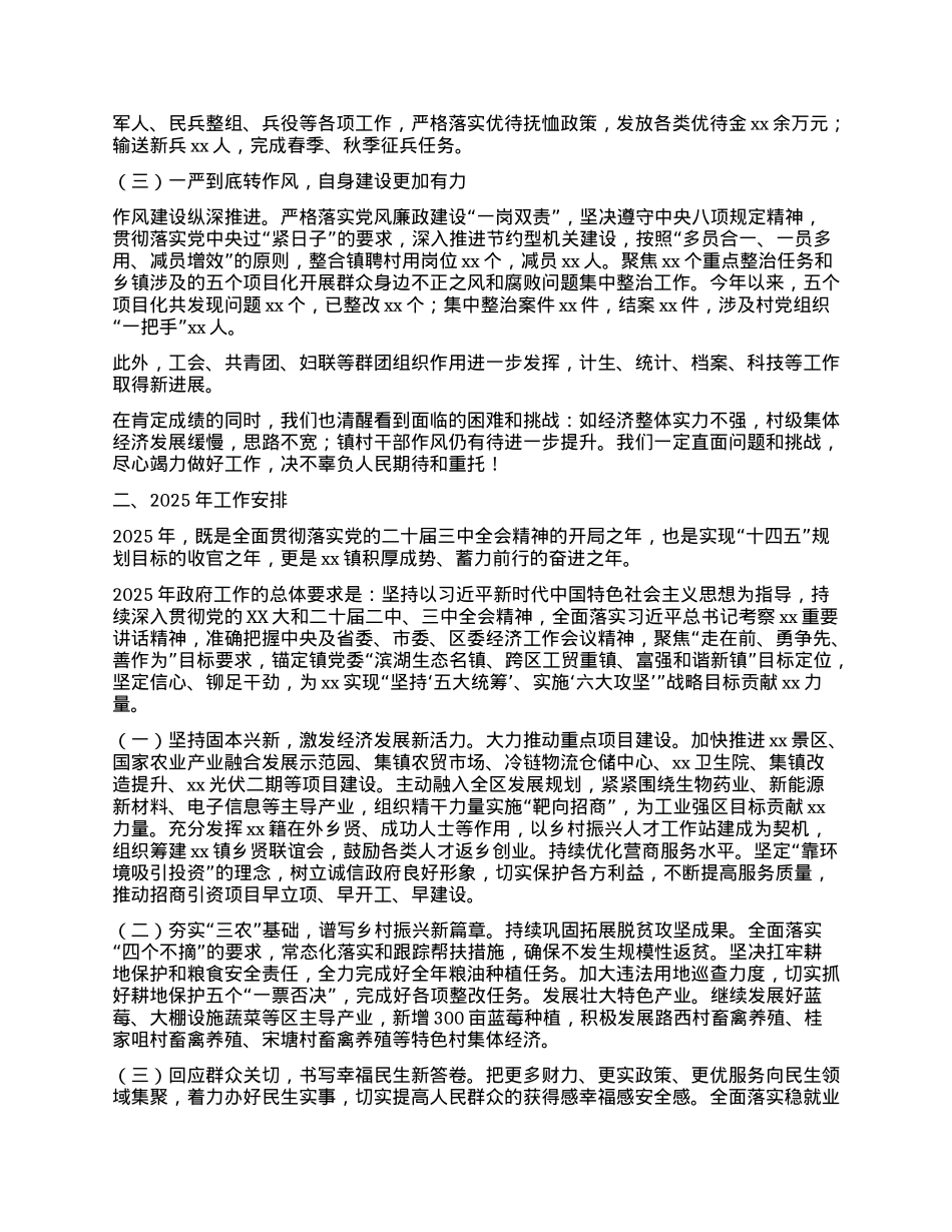 镇政府2024年工作总结和2025年工作谋划.docx_第2页