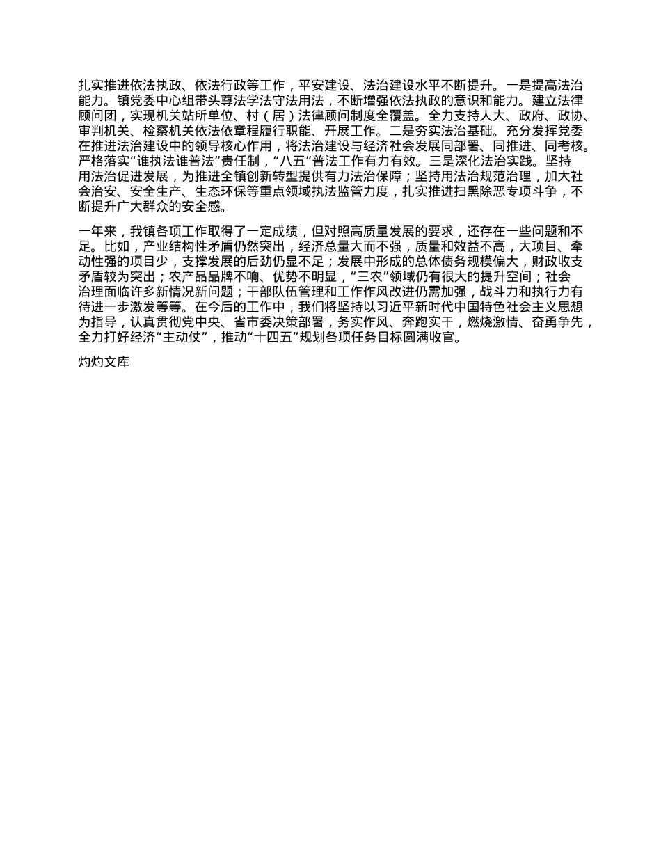 乡镇班子述职报告.docx_第2页