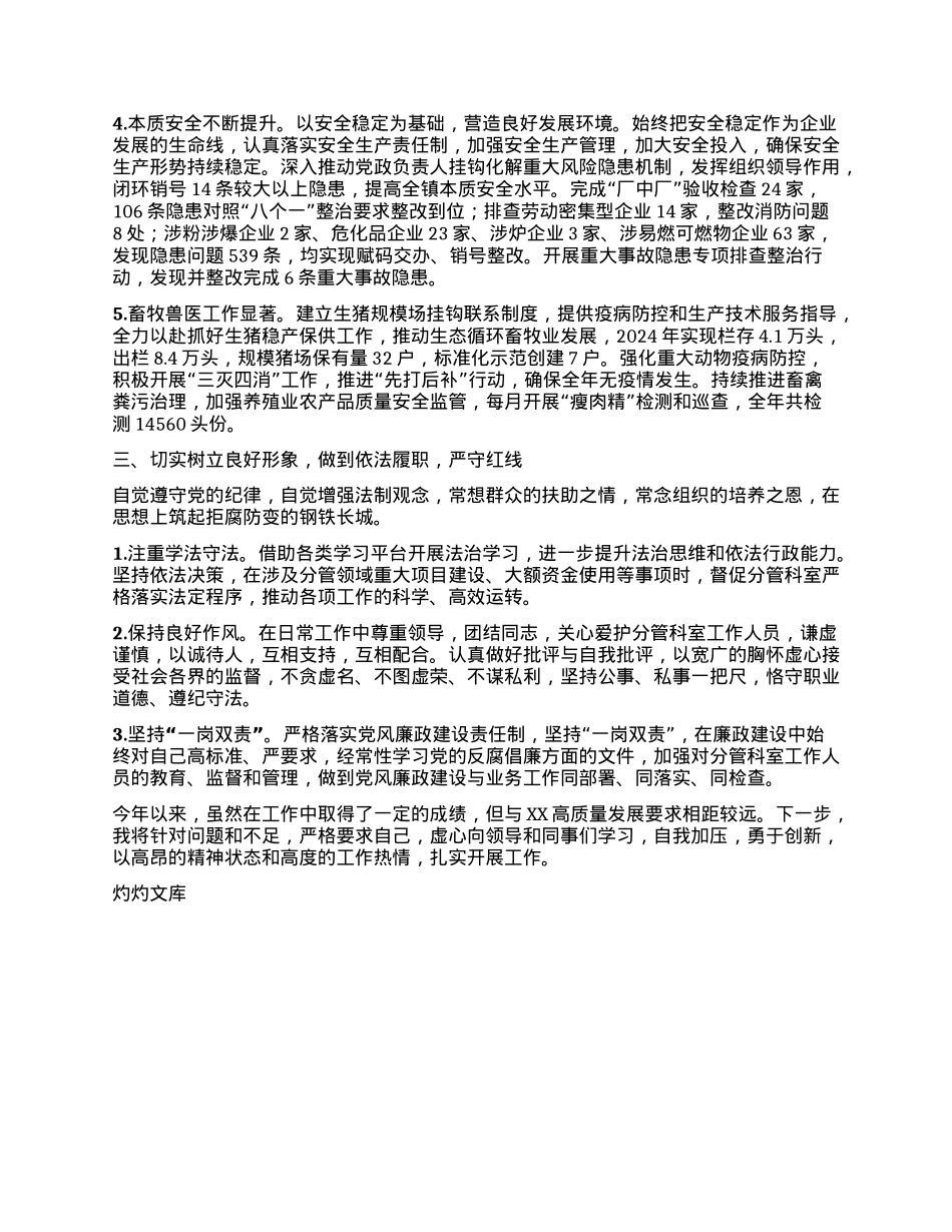 乡镇副镇长个人述职报告 (3).docx_第2页