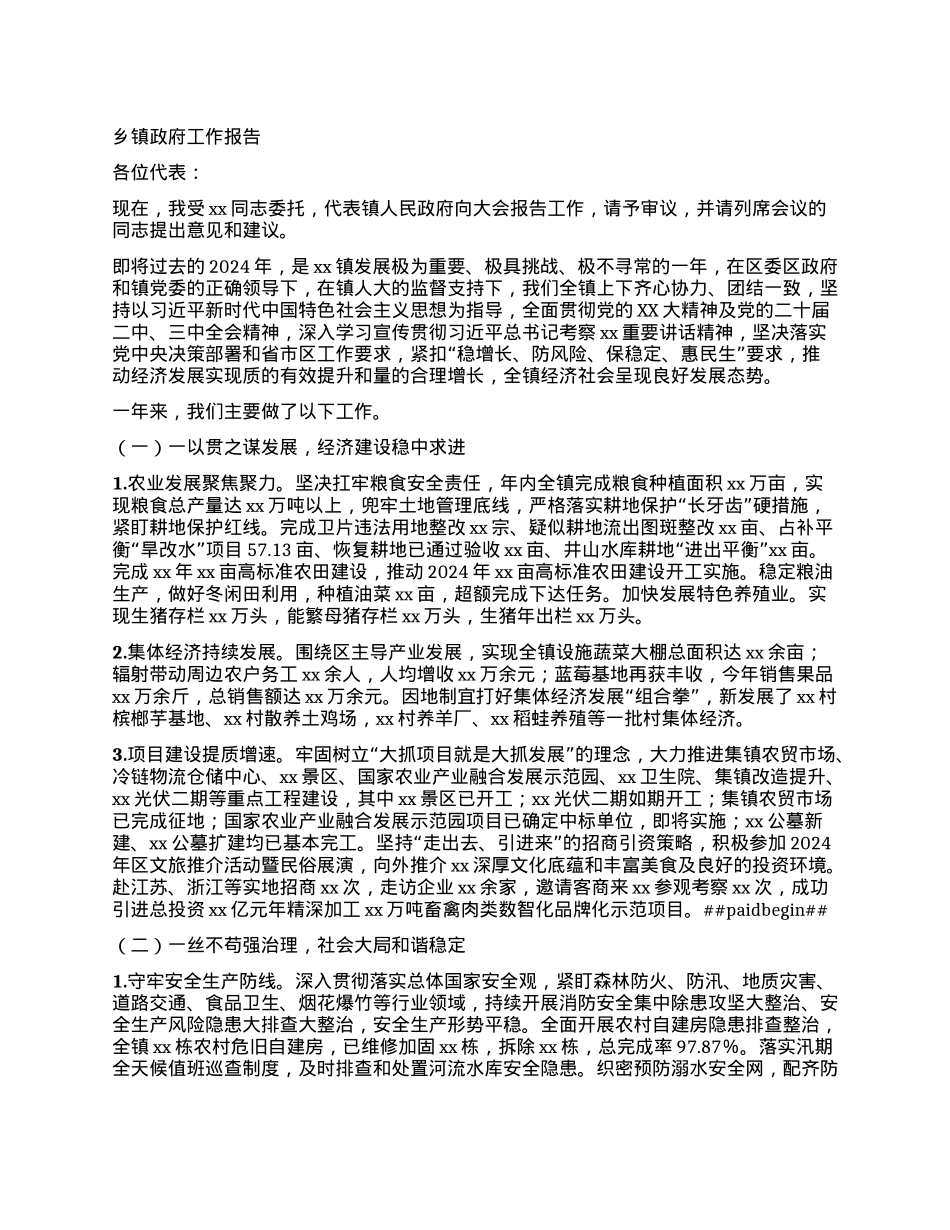 乡镇政府工作报告 (2).docx_第1页