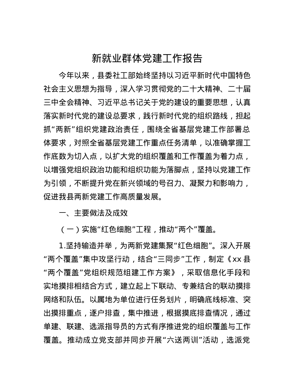 新就业群体X建工作报告.docx_第1页