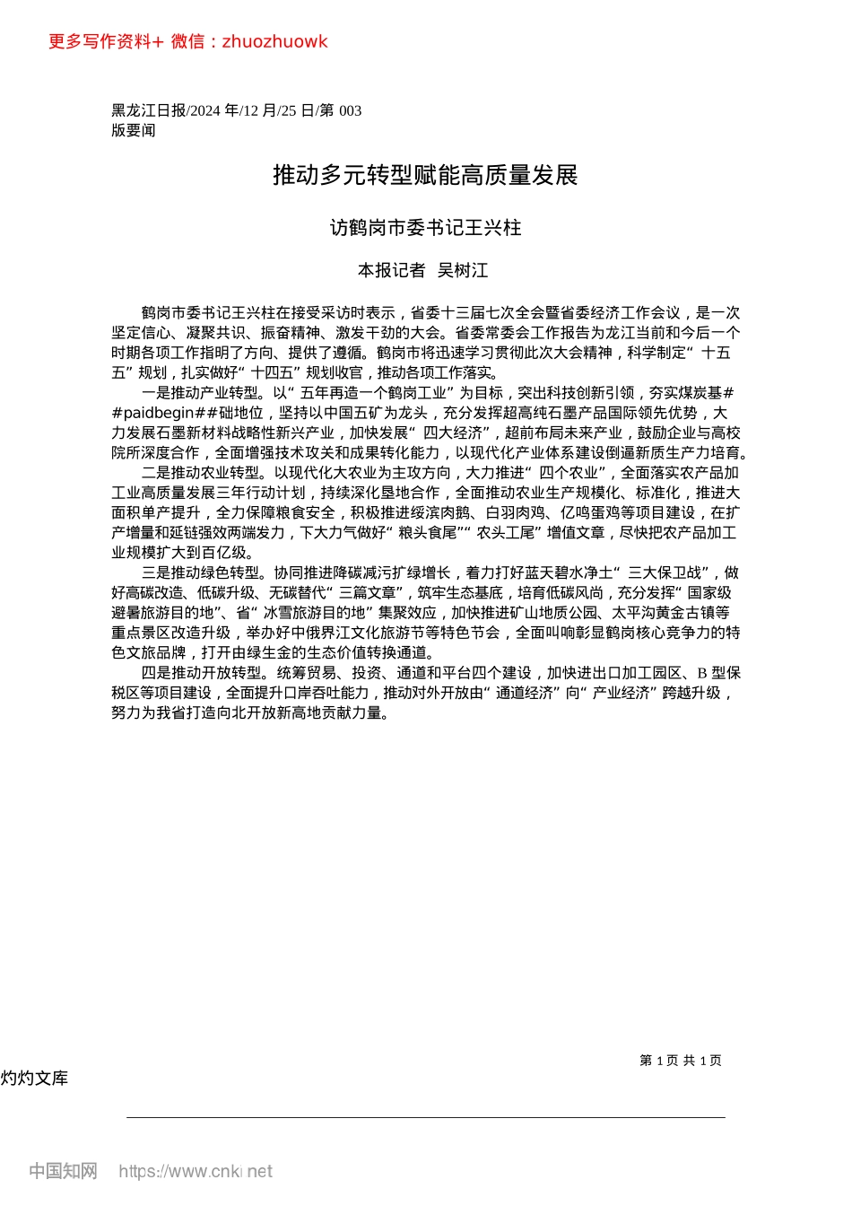 2024.12推动多元转型赋能高质量发展_本报记者__吴树江.docx_第1页