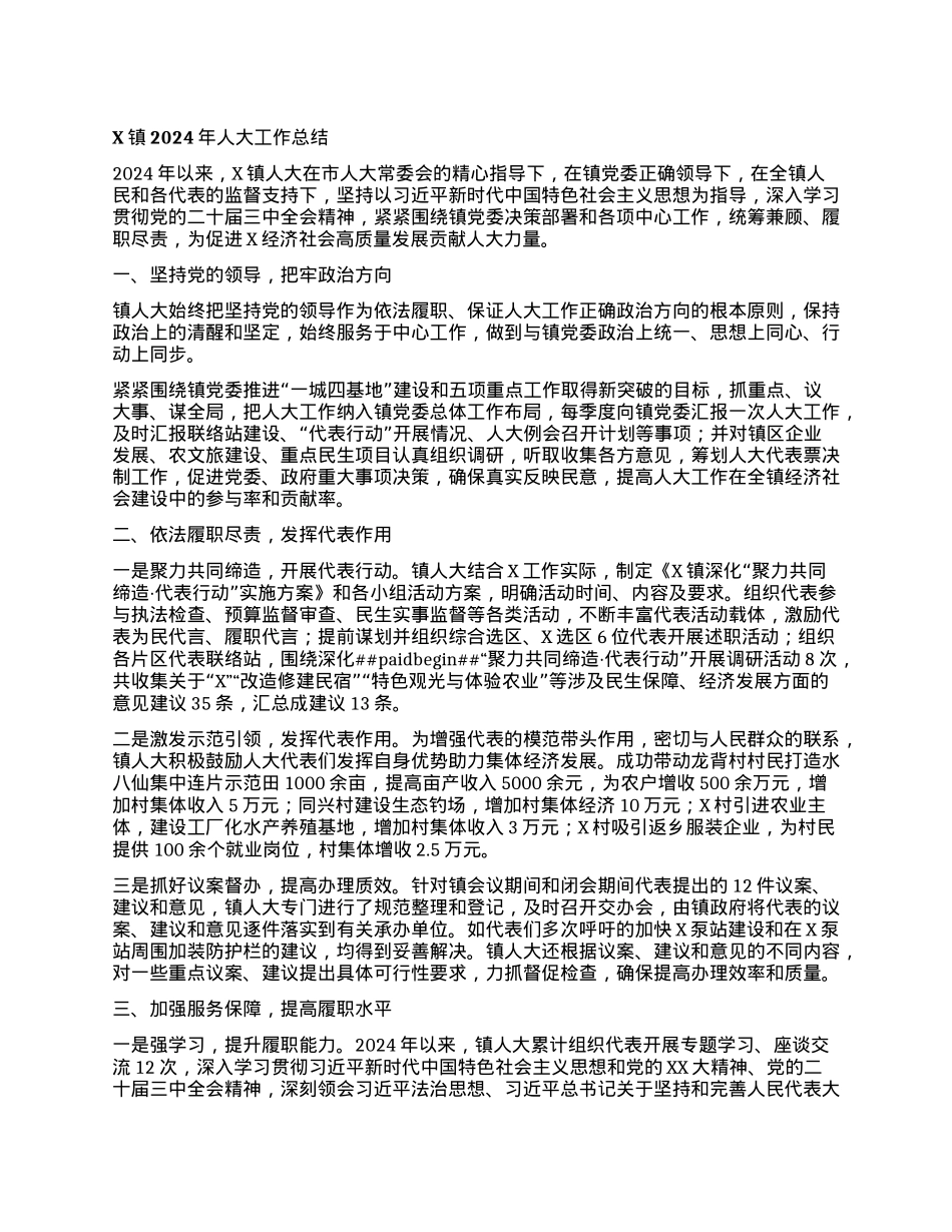 X镇2024年人大工作总结.docx_第1页