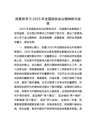 民革X学习2025年全国政协会议精神研讨发言.docx