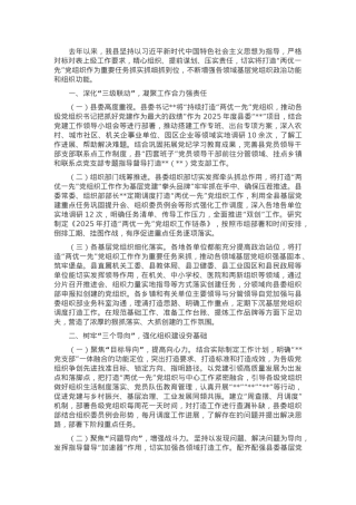 某县打造“两优一先”党组织工作情况汇报.docx