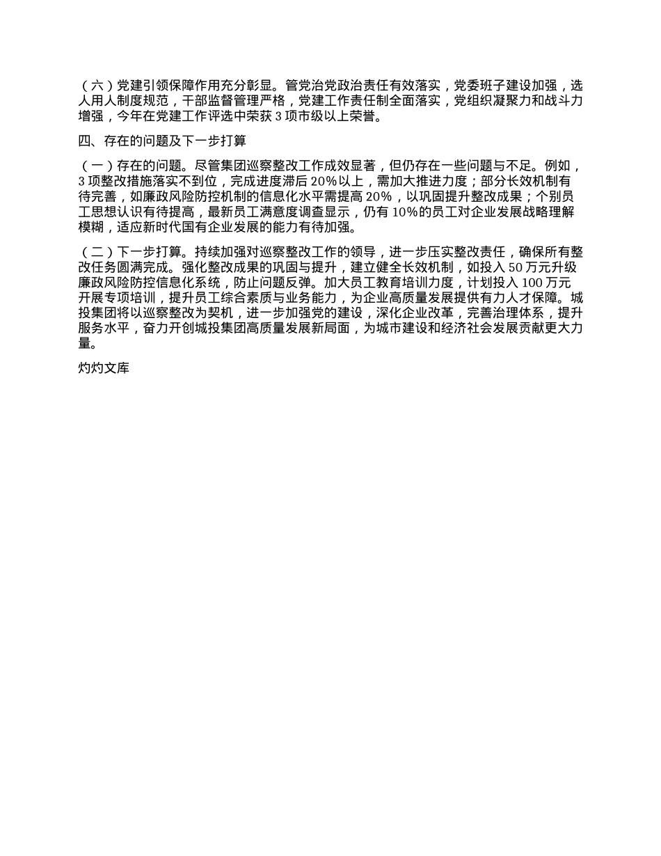 城投集团2024年巡察整改工作情况报告.docx_第3页