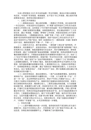 村开展一号文件宣讲情况报告.docx