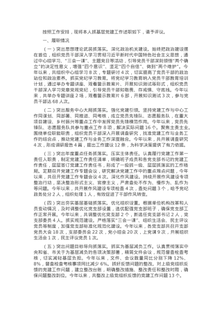 党组织书记抓基层党建工作述职报告.docx