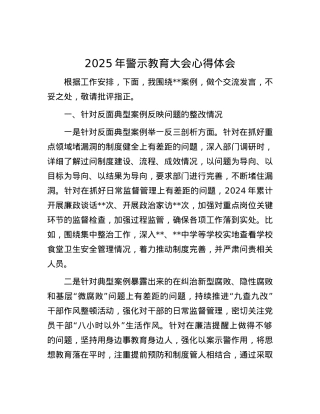 2025年警示教育大会心得体会.docx