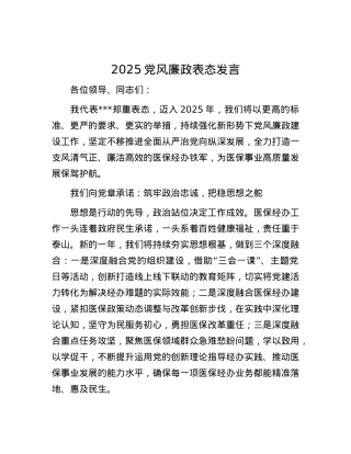 2025X风廉政表态发言.docx