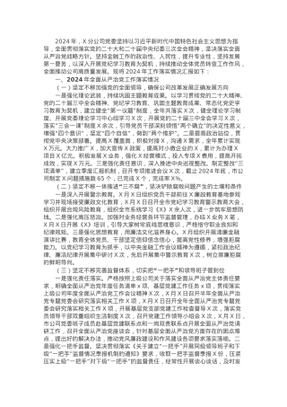 2024年度公司党委落实全面从严治党主体责任情况报告.docx