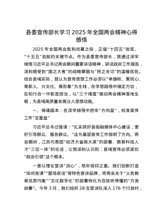 县委宣传部长学习2025年全国两会精神心得感悟.docx
