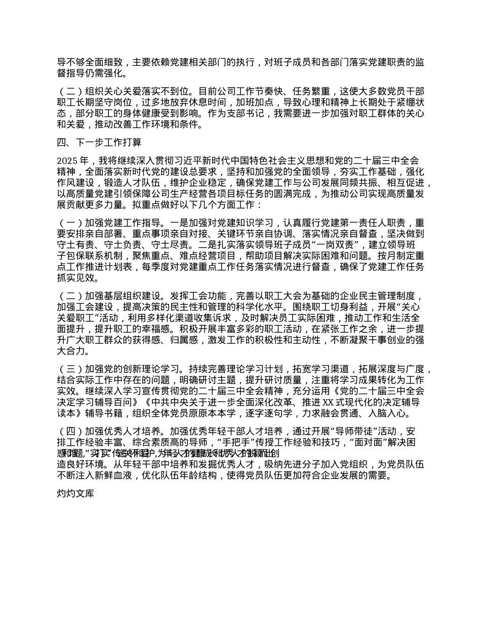 XX企业（集团）X支部书记2024年度抓X建工作述职报告.docx_第2页