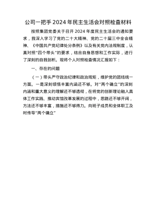 公司一把手2024年民主生活会对照检查材料(1).docx