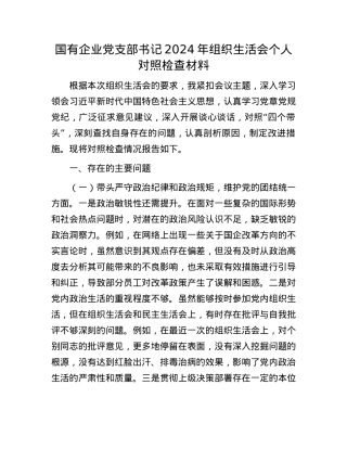 国有企业X支部书记2024年组织生活会个人对照检查材料.docx