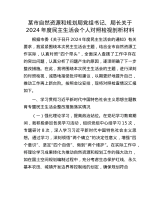某市自然资源和规划局党组书记、局长关于2024年度民主生活会个人对照检视剖析材料.docx