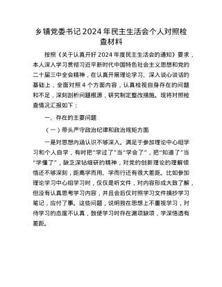 乡镇党委书记2024年民主生活会个人对照检查材料(1).docx