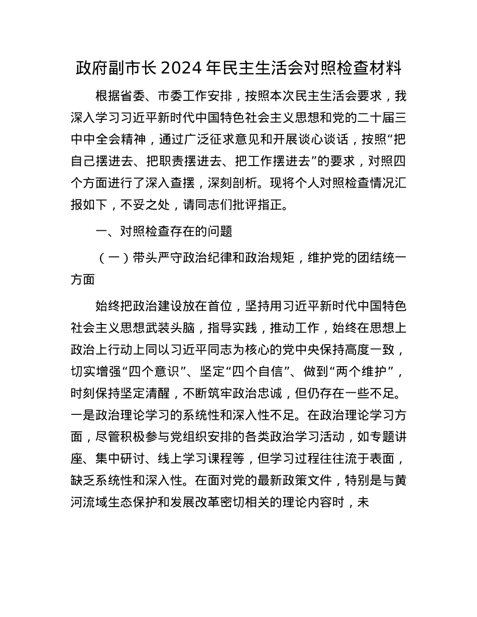 政府副市长2024年民主生活会对照检查材料.docx_第1页