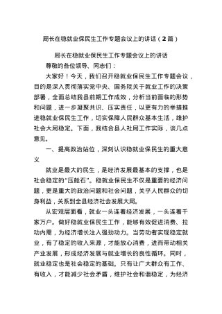 (2篇)局长在稳就业保民生工作专题会议上的讲话.docx