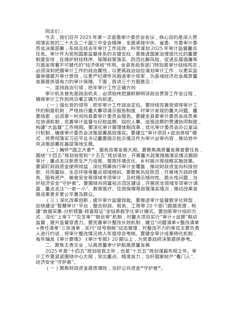 市委副书记在2025年第1次县委审计委员会会议上的讲话.docx_第1页