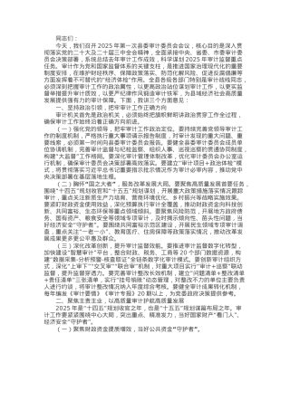 市委副书记在2025年第1次县委审计委员会会议上的讲话.docx