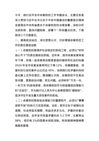 市委副书记在全市命案防控工作专题会议上的讲话.docx