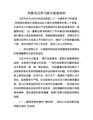 市委书记学习研讨发言材料.docx