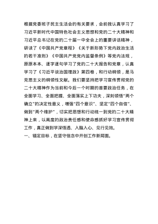 在党委班子民主生活会会前学习会上的发言提纲(1).docx