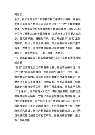 市委书记在2025年市委农村工作领导小组第一次会议上的讲话.docx