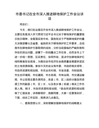 市委书记在全市深入推进耕地保护工作会议讲话.docx