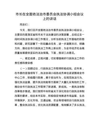 市长在全面依法治市委员会执法协调小组会议上的讲话.docx