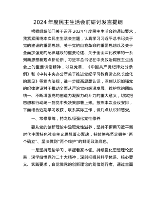 2024年度民主生活会前研讨发言提纲.docx