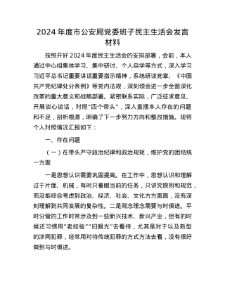 2024年度市公安局党委班子民主生活会发言材料.docx