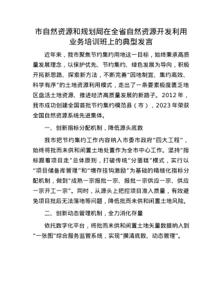 市自然资源和规划局在全省自然资源开发利用业务培训班上的典型发言.docx