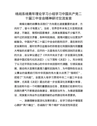 统战系统青年理论学习小组学习中国共产X二十届三中全会精神研讨交流发言.docx