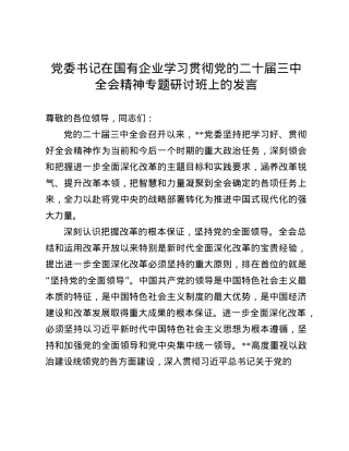 X委书记在国有企业学习贯彻X的二十届三中全会精神专题研讨班上的发言(1).docx