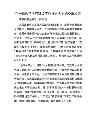 在全省数字法庭建设工作推进会上的交流发言.docx