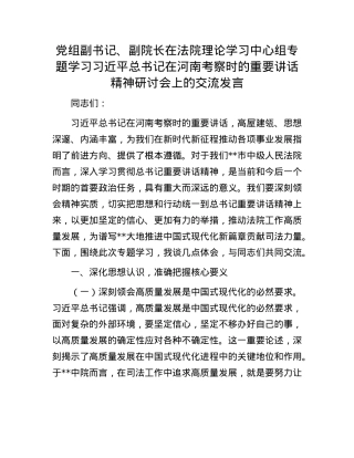 X组副书记、副院长在法院理论学习中心组专题学习习近平总书记在河南考察时的重要讲话精神研讨会上的交流发言.docx