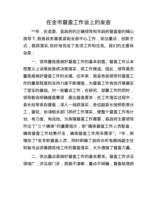 在全市督查工作会上的发言.docx