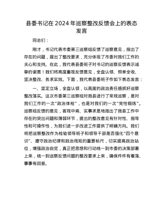 县委书记在2024年巡察整改反馈会上的表态发言.docx