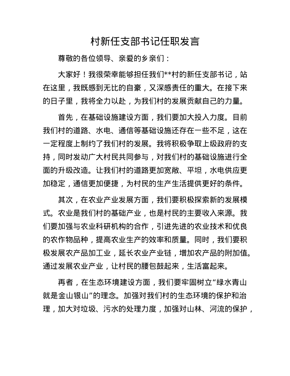 村新任支部书记任职发言.docx_第1页