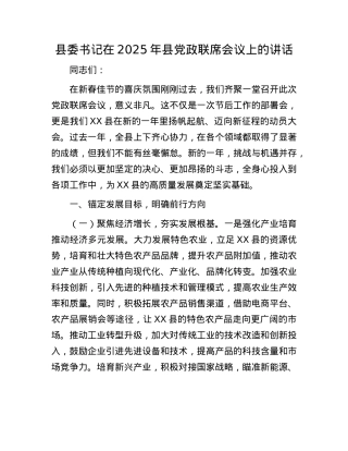 县委书记在2025年县X政联席会议上的讲话.docx