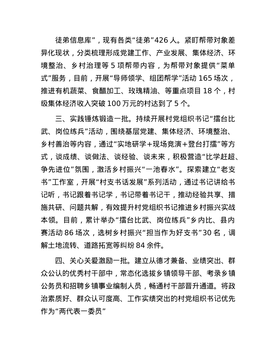 县委书记在全市村X组织书记队伍建设专项推进会上的交流发言.docx_第2页