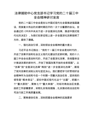 法律援助中心X支部书记学习X的二十届三中全会精神研讨发言.docx