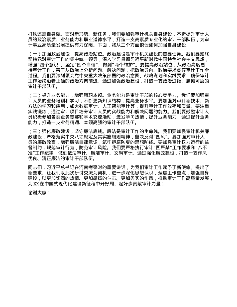 副局长在审计局理论学习中心组专题学习习近平总书记在河南考察时重要讲话精神研讨交流会上的讲话.docx_第3页