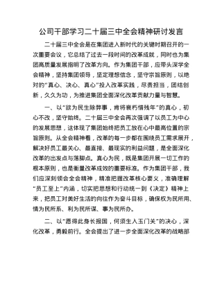 公司干部学习二十届三中全会精神研讨发言.docx