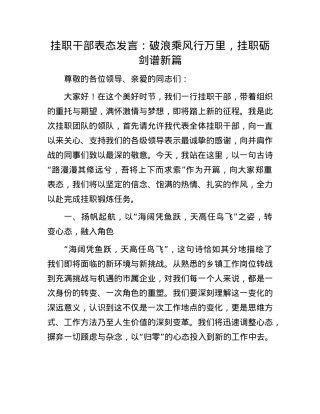 挂职干部表态发言：破浪乘风行万里，挂职砺剑谱新篇.docx