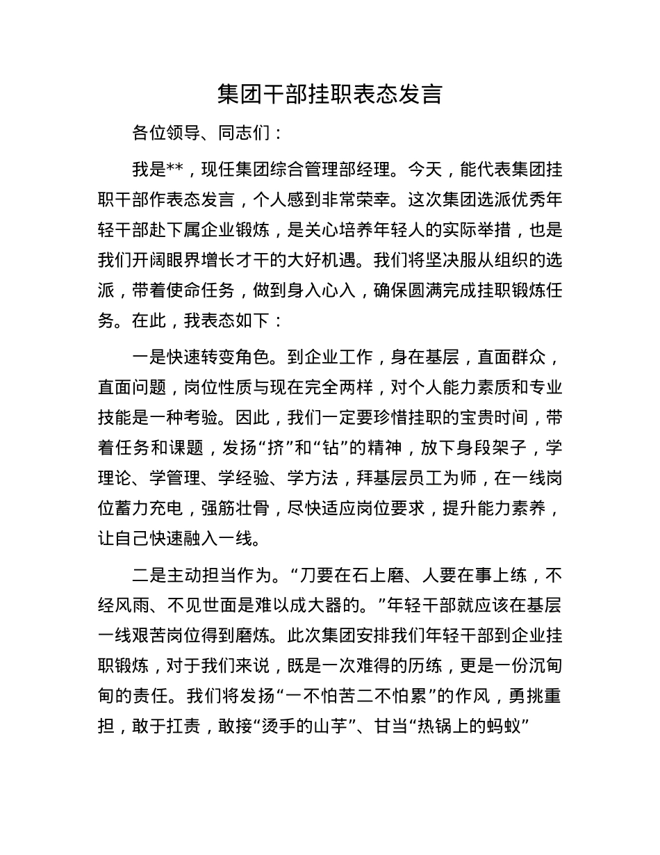 集团干部挂职表态发言.docx_第1页