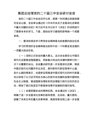 集团总经理X的二十届三中全会研讨发言.docx