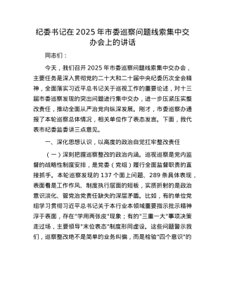 纪委书记在2025年市委巡察问题线索集中交办会上的讲话.docx